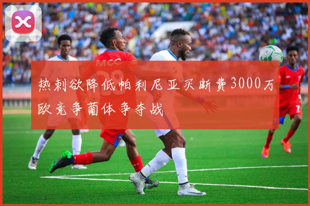 热刺欲降低帕利尼亚买断费3000万欧竞争葡体争夺战