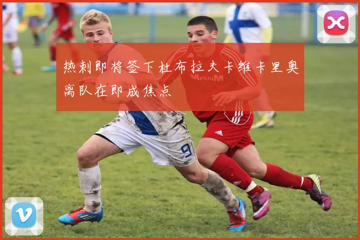 热刺即将签下杜布拉夫卡维卡里奥离队在即成焦点