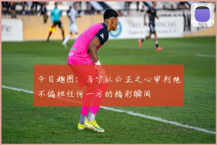 今日趣图：马宁以公正之心审判绝不偏袒任何一方的精彩瞬间